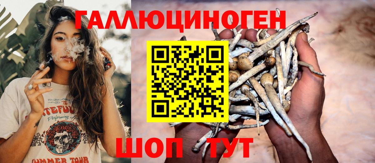 Псилоцибиновые грибы мухоморы Апрелевка